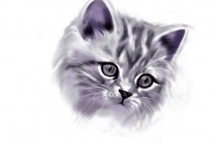 1_cat