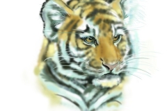 cub-2